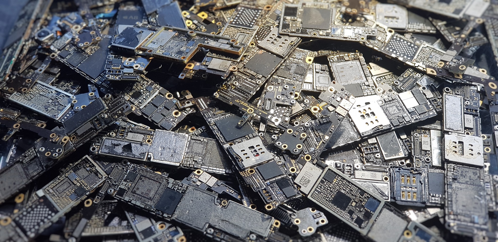 distintas placas de iphone preparadas para reciclaje de Ics funcionales